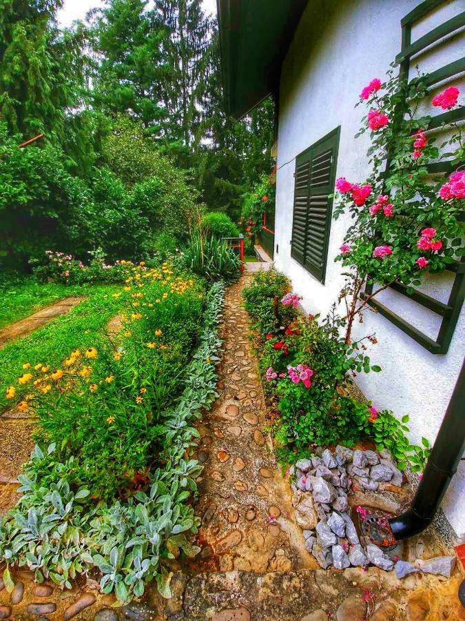 Kuca Za Odmor "Livadica" Villa Netretic Bagian luar foto