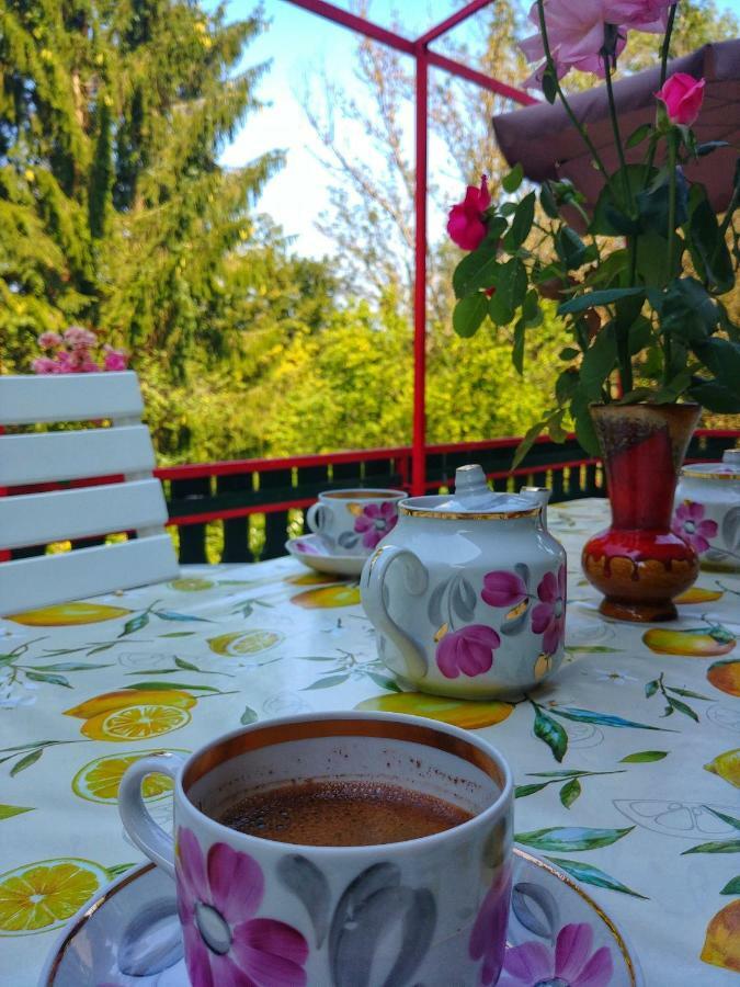Kuca Za Odmor "Livadica" Villa Netretic Bagian luar foto