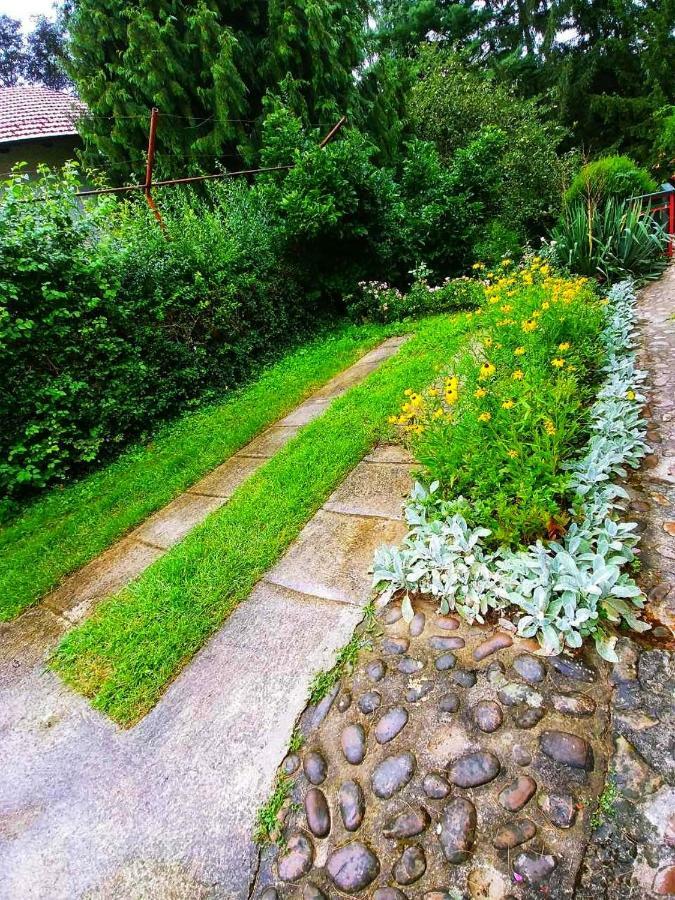 Kuca Za Odmor "Livadica" Villa Netretic Bagian luar foto