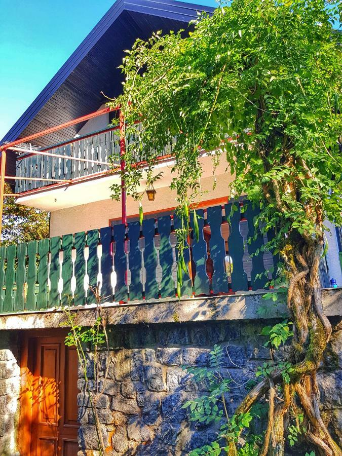 Kuca Za Odmor "Livadica" Villa Netretic Bagian luar foto