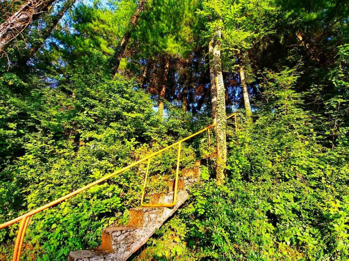 Kuca Za Odmor "Livadica" Villa Netretic Bagian luar foto