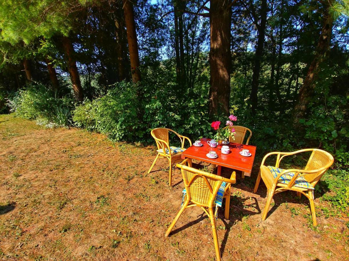 Kuca Za Odmor "Livadica" Villa Netretic Bagian luar foto